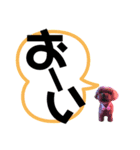 我が家のあろはちゃん❸（個別スタンプ：6）