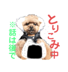我が家のあろはちゃん❸（個別スタンプ：7）