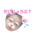 【おもしろ】りっぱーすたんぷ（個別スタンプ：11）