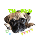 PUG SMILE 4（個別スタンプ：12）