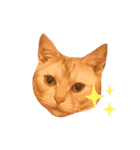 コロンたんTHEがぶりえーる（個別スタンプ：6）