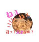 コロンたんTHEがぶりえーる（個別スタンプ：24）