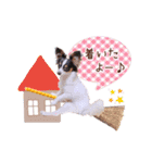 パピヨンの夢ちゃん♡3（個別スタンプ：8）