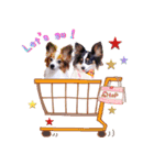 パピヨンの夢ちゃん♡3（個別スタンプ：14）