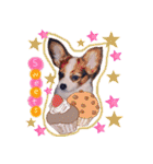 パピヨンの夢ちゃん♡3（個別スタンプ：23）