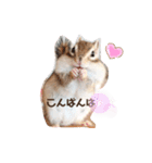 シマリス♡ビビ2（個別スタンプ：4）
