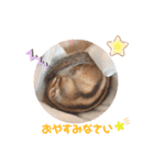 シマリス♡ビビ2（個別スタンプ：5）