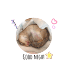 シマリス♡ビビ2（個別スタンプ：6）