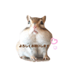 シマリス♡ビビ2（個別スタンプ：8）