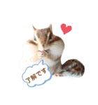 シマリス♡ビビ2（個別スタンプ：10）