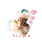 シマリス♡ビビ2（個別スタンプ：15）