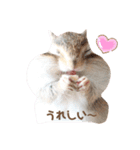 シマリス♡ビビ2（個別スタンプ：17）
