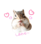 シマリス♡ビビ2（個別スタンプ：19）