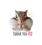 シマリス♡ビビ2（個別スタンプ：21）