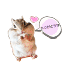 シマリス♡ビビ2（個別スタンプ：22）