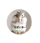 シマリス♡ビビ2（個別スタンプ：24）
