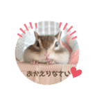 シマリス♡ビビ2（個別スタンプ：25）