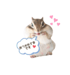 シマリス♡ビビ2（個別スタンプ：27）