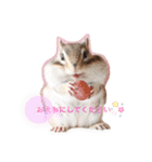 シマリス♡ビビ2（個別スタンプ：28）