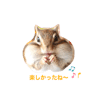 シマリス♡ビビ2（個別スタンプ：30）