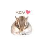 シマリス♡ビビ2（個別スタンプ：32）