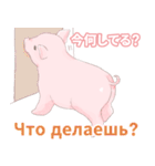 こぶたとロシア語（日本語つき）（個別スタンプ：4）