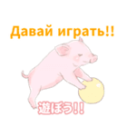 こぶたとロシア語（日本語つき）（個別スタンプ：11）