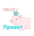 こぶたとロシア語（日本語つき）（個別スタンプ：19）