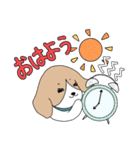 ちょびたんず daily life ver.（個別スタンプ：1）