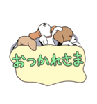 ちょびたんず daily life ver.（個別スタンプ：5）