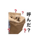 ろいくんのこころの声①（個別スタンプ：4）