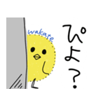 ピヨ族（個別スタンプ：19）
