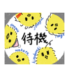 ピヨ族（個別スタンプ：31）