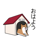 たっくんとまりんちゃん（個別スタンプ：1）
