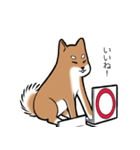 たっくんとまりんちゃん（個別スタンプ：5）