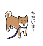 たっくんとまりんちゃん（個別スタンプ：7）