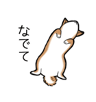 たっくんとまりんちゃん（個別スタンプ：9）