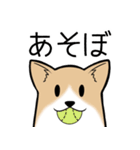 たっくんとまりんちゃん（個別スタンプ：10）