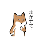 たっくんとまりんちゃん（個別スタンプ：15）