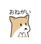 たっくんとまりんちゃん（個別スタンプ：16）