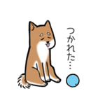 たっくんとまりんちゃん（個別スタンプ：17）
