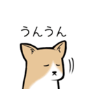 たっくんとまりんちゃん（個別スタンプ：24）