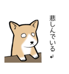 たっくんとまりんちゃん（個別スタンプ：26）
