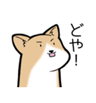 たっくんとまりんちゃん（個別スタンプ：28）