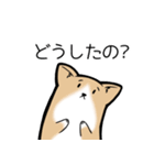 たっくんとまりんちゃん（個別スタンプ：30）