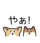 たっくんとまりんちゃん（個別スタンプ：31）