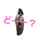 tontonton-（個別スタンプ：3）