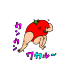 muscle muscle tomato（個別スタンプ：17）