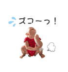 aosiostampVol.4（個別スタンプ：2）