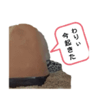 たけぞうはハロウィンマスク（個別スタンプ：5）